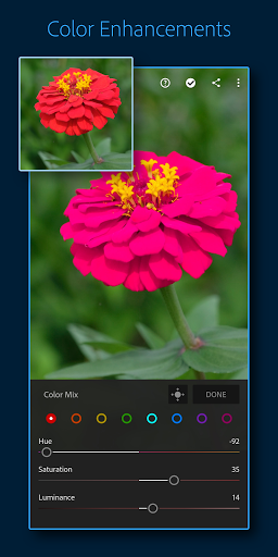 Download Adobe Lightroom: Photo Editor for android 4.0.4