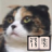 icon jp.aboutsoft.android.bunkoreader 0.56
