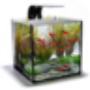 icon Aquarium Design