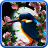 icon Sakura and Bird Live Wallpaper 1.0.3