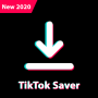 icon Video saver for all status including tiktok