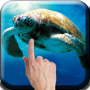 icon Sea Turtle
