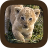 icon Animal Sounds 3.0.1