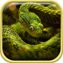 icon Snake Live Wallpaper HD