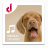 icon Animal Sounds Ringtones 8.0.2