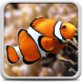 icon Aquarium Live Wallpaper