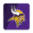 icon Vikings 5.6.2