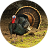 icon Turkey bird Sounds 1.8