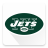 icon Jets 10.3.3