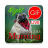icon GIF Afrikaans Morning & Night 2.14.00
