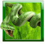 icon Snake Live Wallpaper