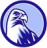 icon FALCONTALK PRO 3.7.2