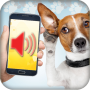 icon Dog Translator