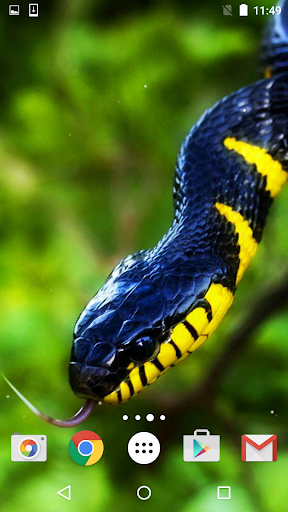 Snake Live Wallpaper HD for android 2.3.4