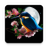 icon Sakura and Bird Live Wallpaper 1.0.9