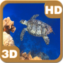 icon Turtle Swimming Coral Reef