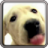 icon Dog Screen Cleaner LWP 1.2