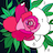 icon Daily Color 1.3.6