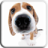 icon Dog Licks Screen LWP 1.2
