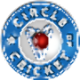 icon Circle Of Cricket