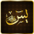 icon Surah Yaseen 2.5