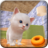 icon CrazyKittyCat 2.2