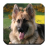 icon Wallpapers of German Shepherds 1.0.2