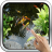 icon Realistic Koi 6.0