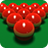 icon Pro Snooker 2021 1.43