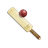 icon Zion Cricket 1.0