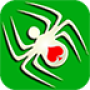 icon Spider Solitaire