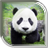 icon Panda Live Wallpaper 3.0