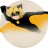 icon Miraculous Black Cat Adventure 1.0