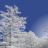 icon Winter Mountain 1.3