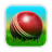 icon Cricket 3D 1.7.4