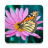 icon Butterflies Live Wallpaper 1.0.8
