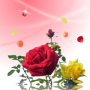 icon Rose petals