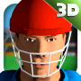 icon Cricket Simulator