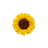 icon CarLu 24.0