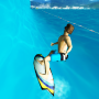 icon PEPI Surf 3D