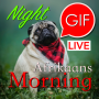 icon GIF Afrikaans Morning & Night
