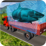 icon Transport Truck Shark Aquarium