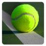 icon Tennis Player Sim