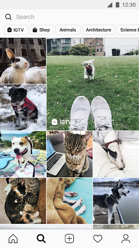 Download Instagram Lite for Android - Free - 385.0.0.11.112