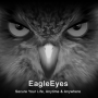 icon EagleEyes