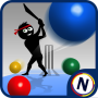 icon Googly Cricket