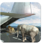 icon Animal Transport Cargo Plane