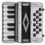 icon Accordion Piano Cassoto