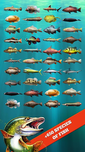 Shark Fishing Simulator 2020 - Free Fishing Games APK for Android - Download