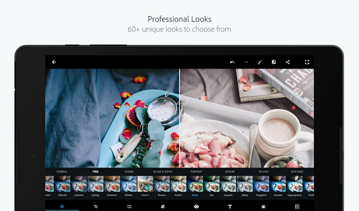 Download Adobe Photoshop Express For Android 4 4 2